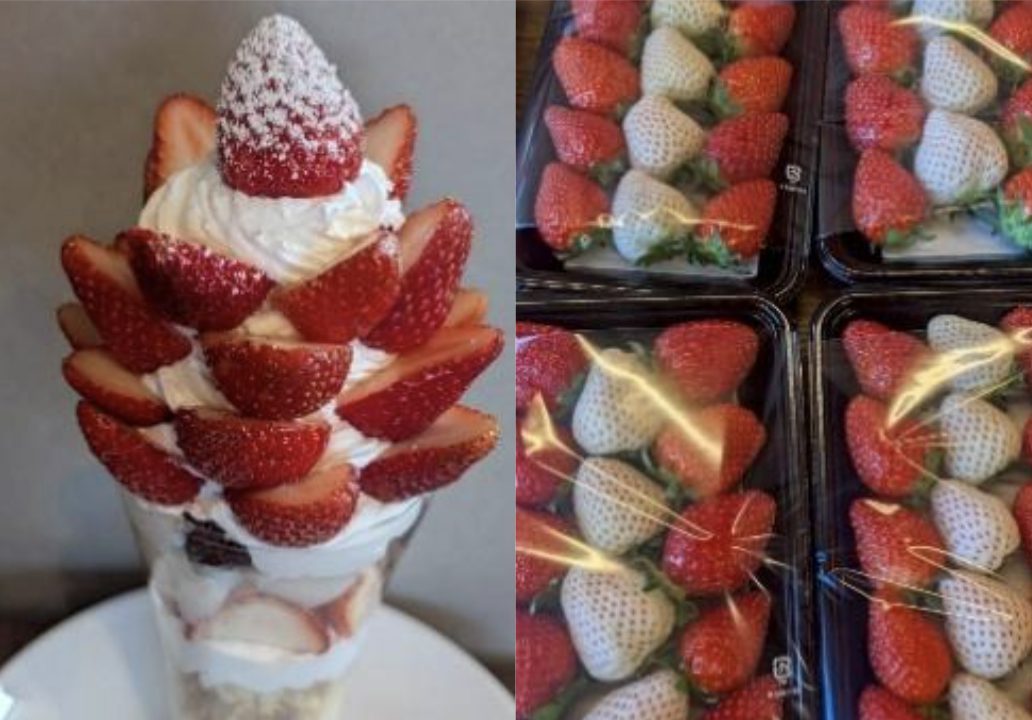 12月～5月めいっぱい、いちごを楽しめます。