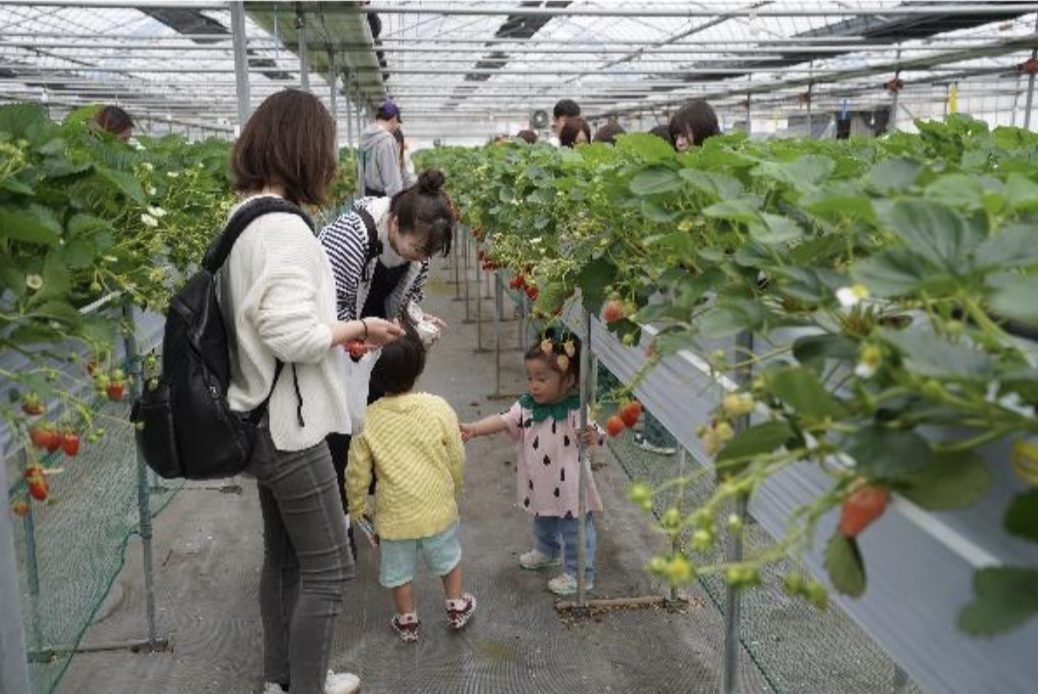 清潔なハウス、お子さんも安心♪